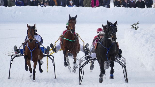 浙江队在过 浙江队在过