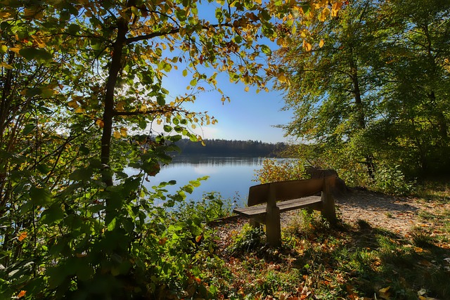 膝伤到其他 膝伤到其他