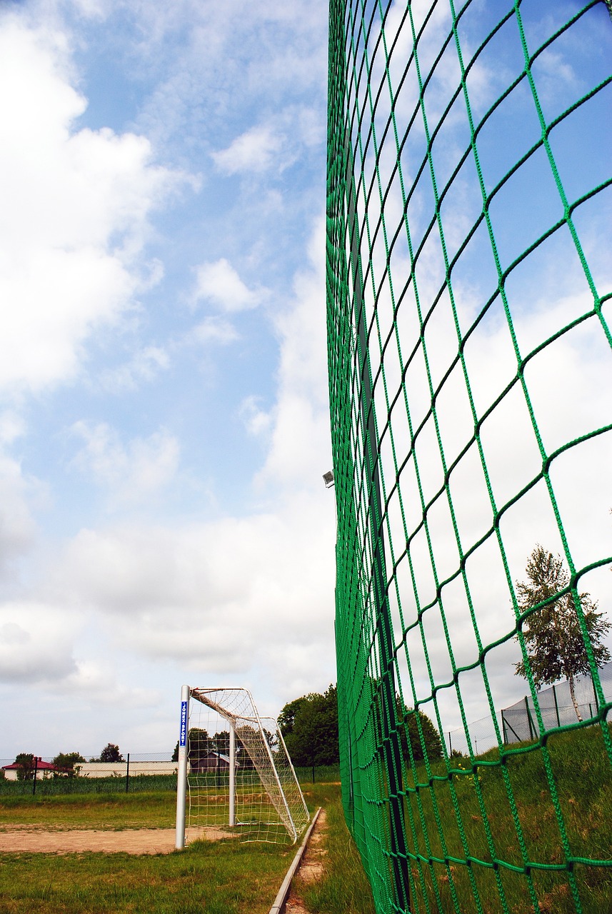 挥的年轻门 挥的年轻门