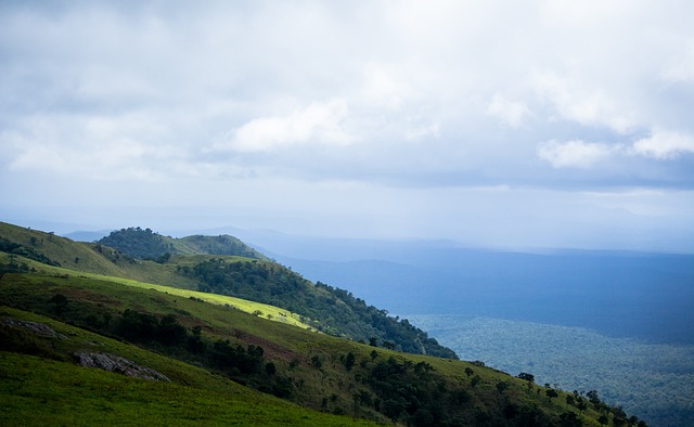 多球迷的关 多球迷的关